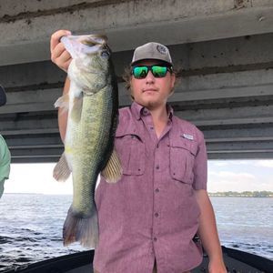 Meet your Posher, Robert